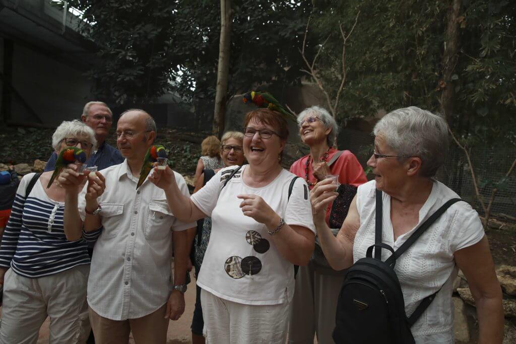 La visite guidée