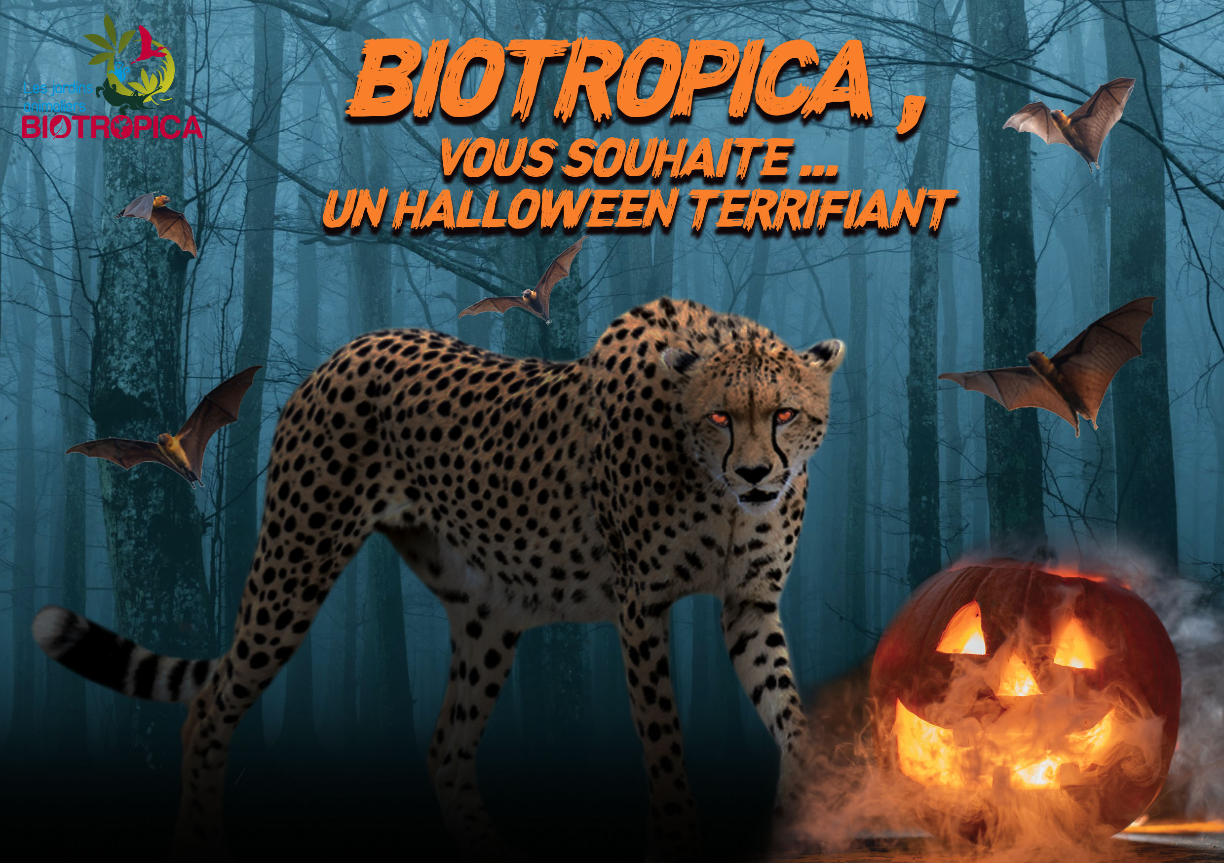 Halloween à Biotropica !