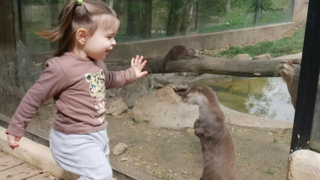 Agit même petit !