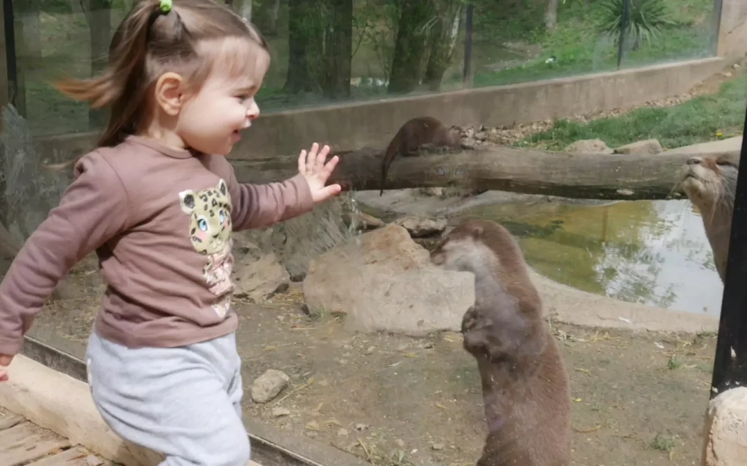 Agit même petit !
