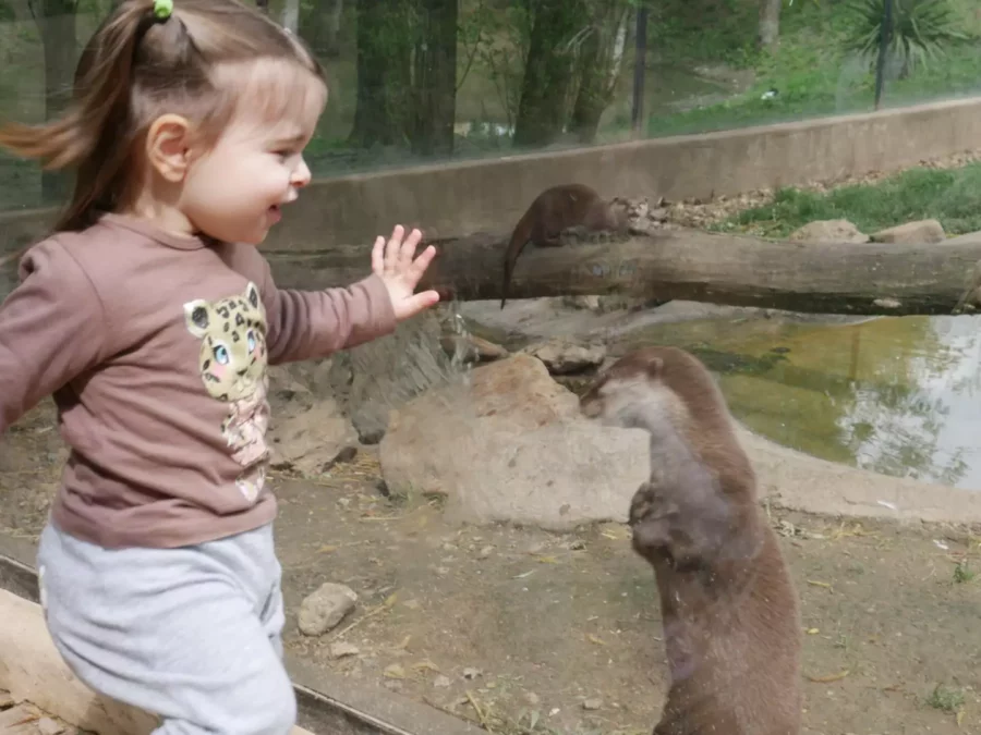 Agit même petit !